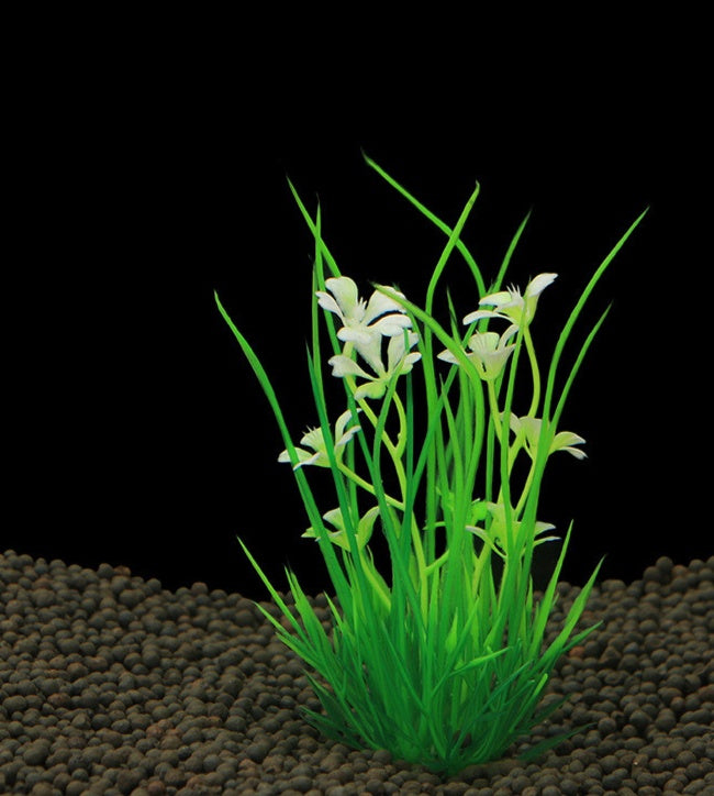 Blossom - Stelo Fiorito Ornamentale