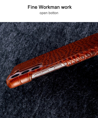 Cover Wild Exotic Leather (Samsung Galaxy S22/S23/S21/S20/Ultra/Plus/Note 20/10/A53