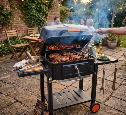 Barbecue Revo Charcoal