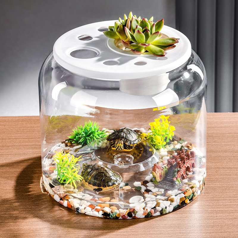 Acquario DeskScape Tank