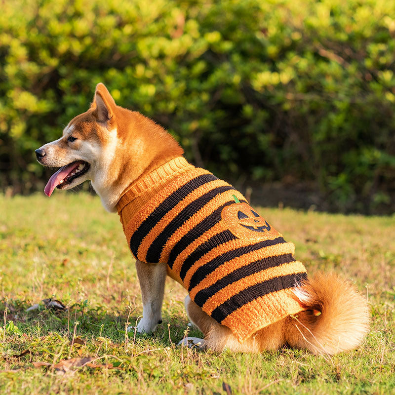 Maglione Halloween Cosplay Relax