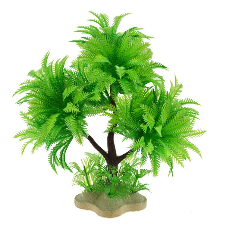 RoyalPalm - Felce Arborea a Tripla Fronda