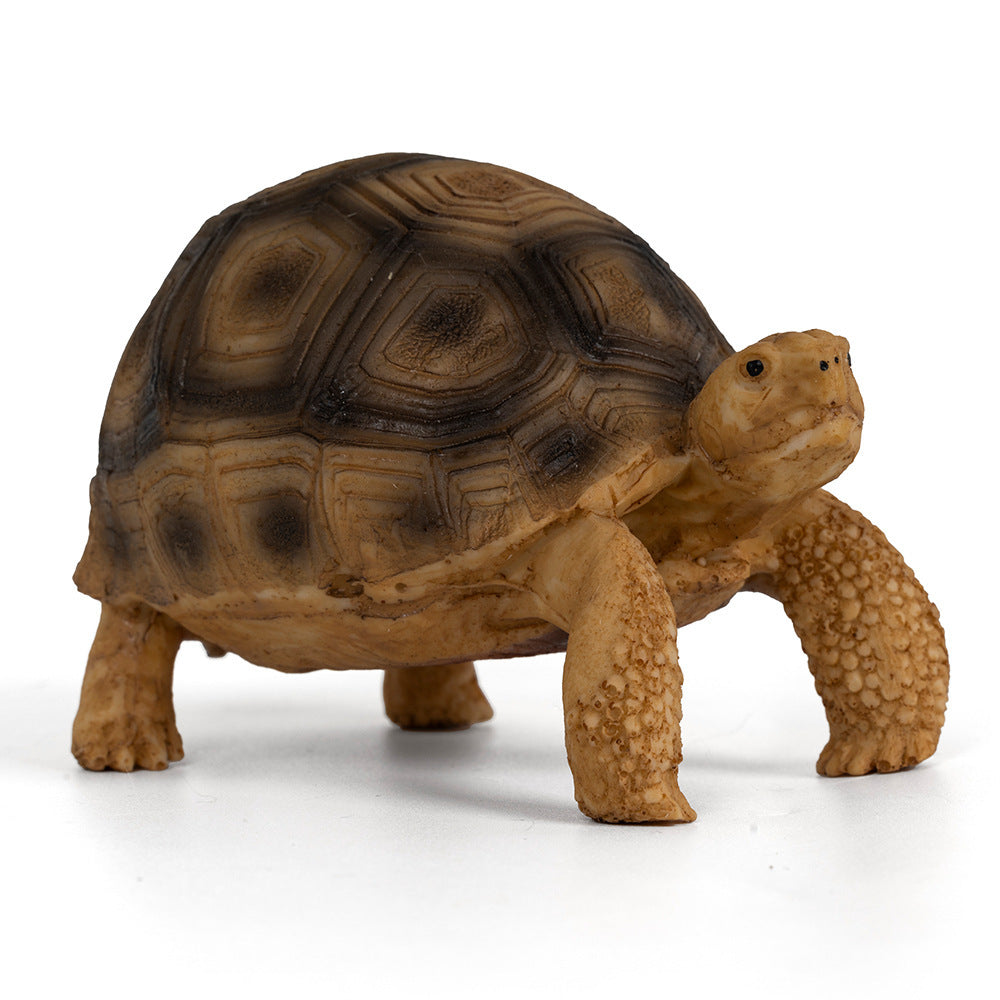 Statuetta Tartaruga - ShellGuardian