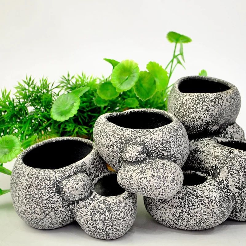 MultiRoot Vase - Sassi Multifunzione