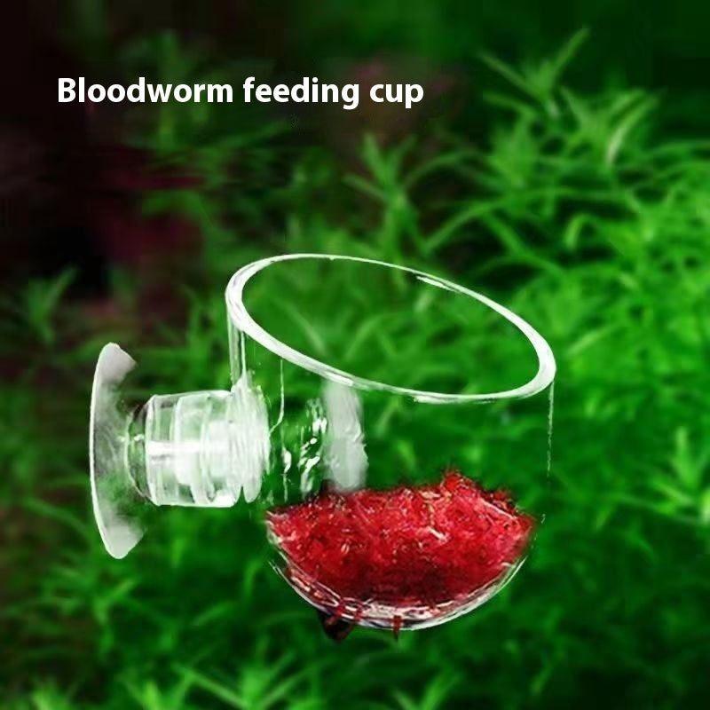 ClearFeeder - Mangiatoia di Precisione in Vetro