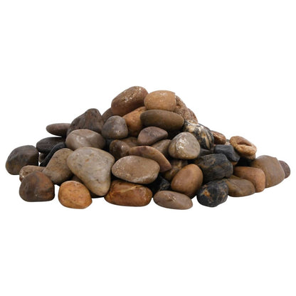 Ciottoli Lucidati Multicolore - RainbowPebbles