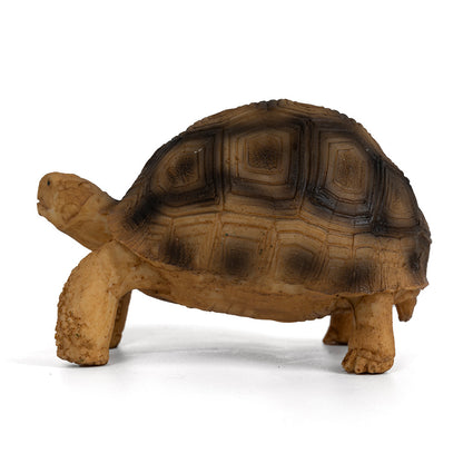 Statuetta Tartaruga - ShellGuardian
