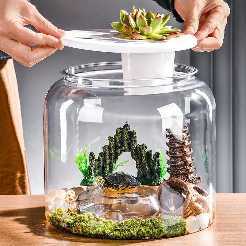 Acquario DeskScape Tank