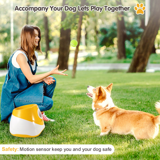 TurboFetch - Lanciatore Automatico di Palline Pro
