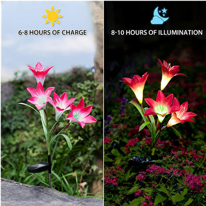 Flora-Glow - Fiori di Luce Solare
