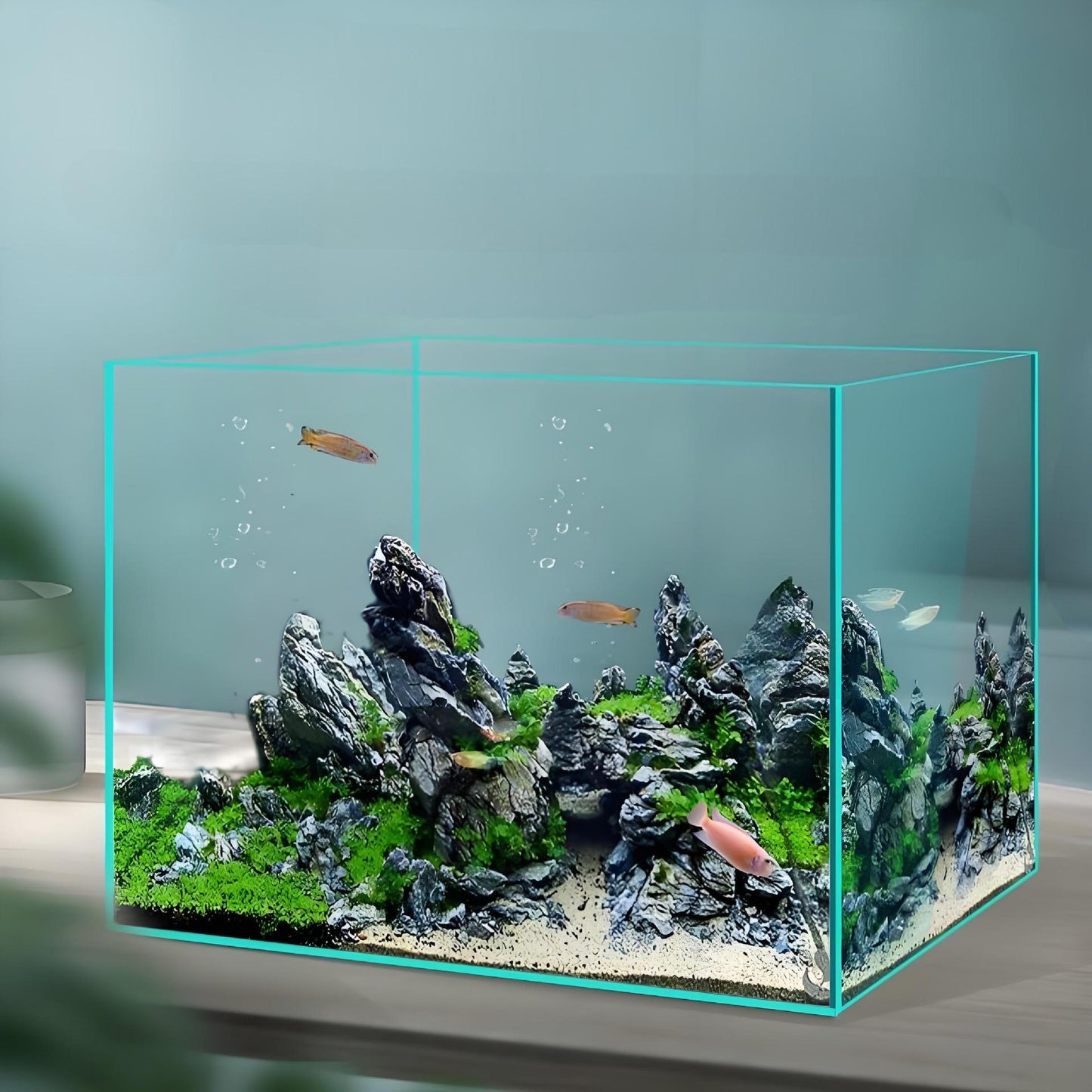 Acquario ClearVision