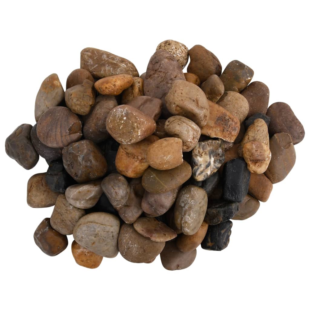 Ciottoli Lucidati Multicolore - RainbowPebbles